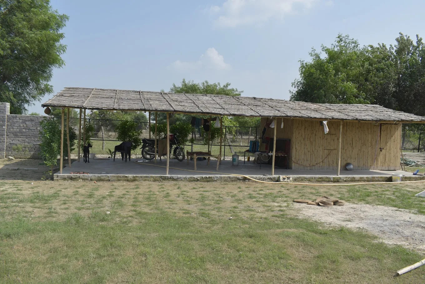 WildOoks Animal Petting Farm | Sector 134 Noida