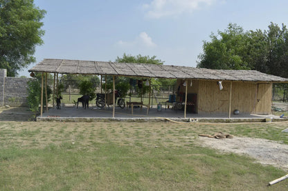 WildOoks Animal Petting Farm | Sector 134 Noida