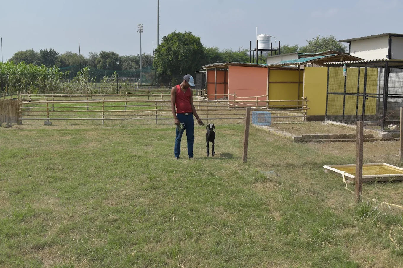 WildOoks Animal Petting Farm | Sector 134 Noida