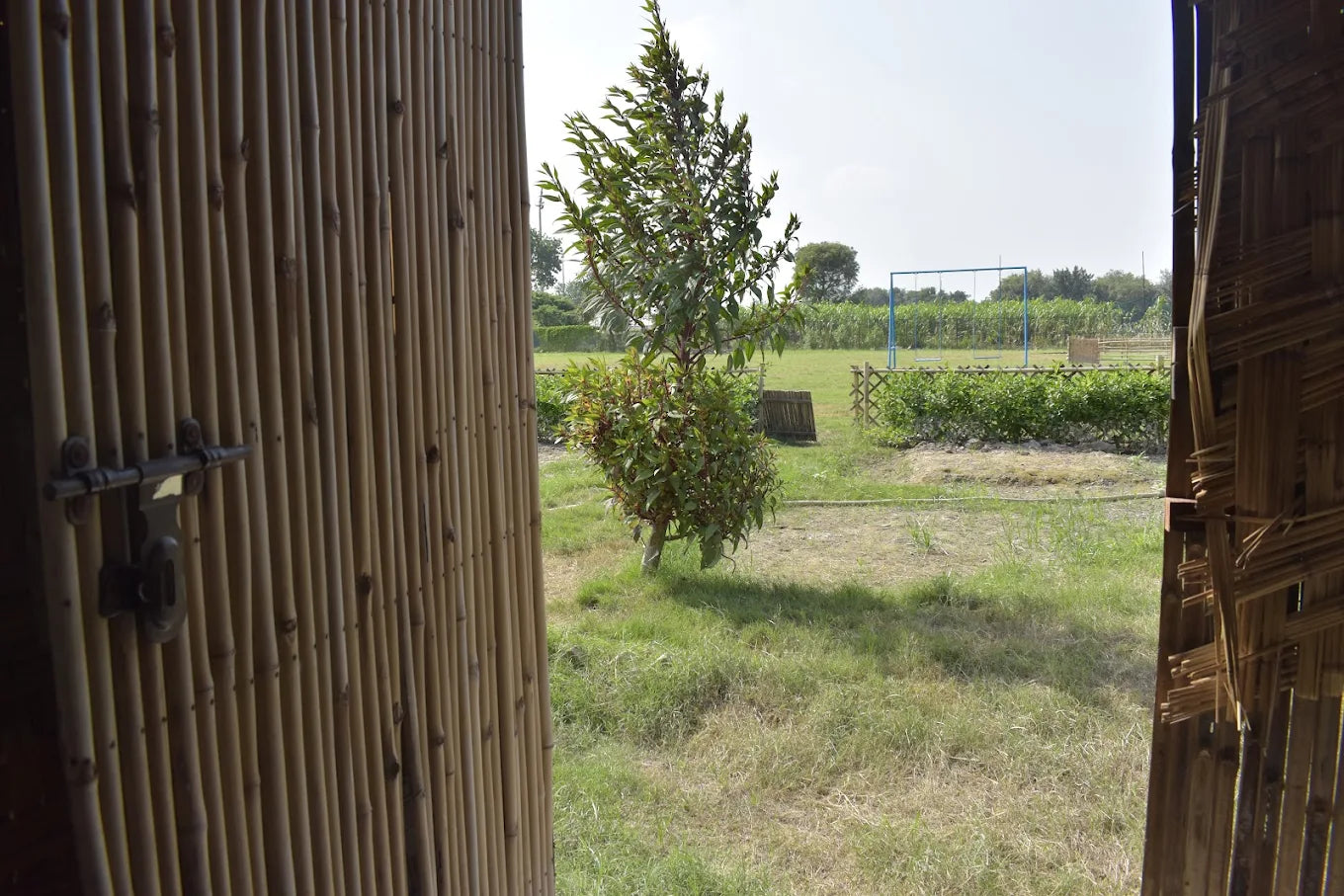 WildOoks Animal Petting Farm | Sector 134 Noida