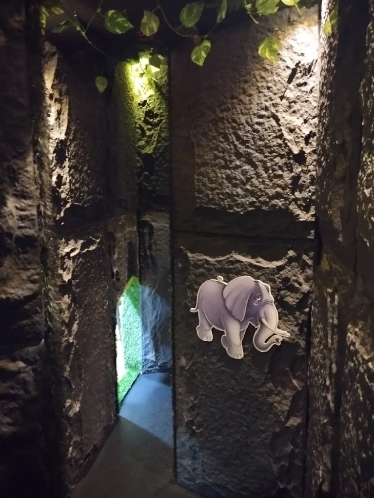Wild Wonders Jungle Themed Indoor Play Area | Mulund West Mumbai