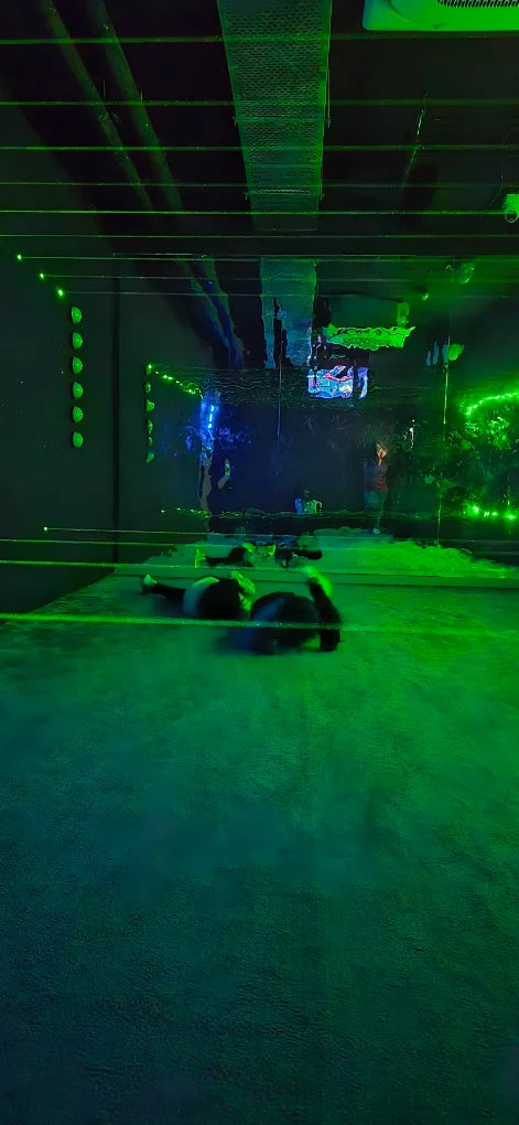 People lying on a floor illuminated by green lights.