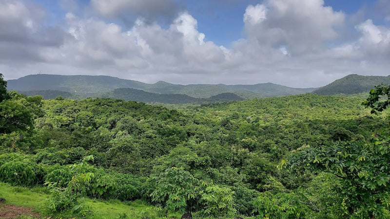 Yeoor Hills