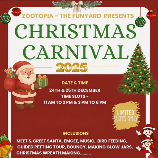 Advertisement for Christmas Carnival 2025 featuring Santa Claus and a Christmas tree on a red background.