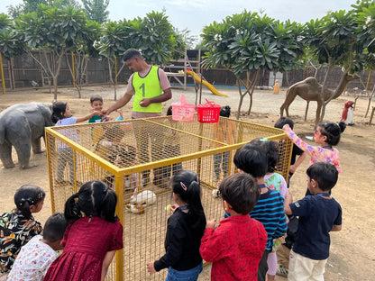 Zootopia - The Funyard Animal Petting Farm | Sector 58 Gurgaon