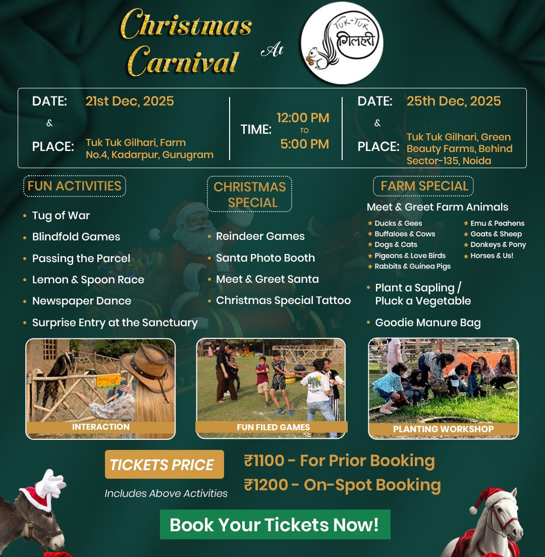 Christmas Carnival at Tuk Tuk Gilahri (25 Dec) Noida
