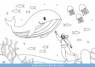 Colouring - Whale