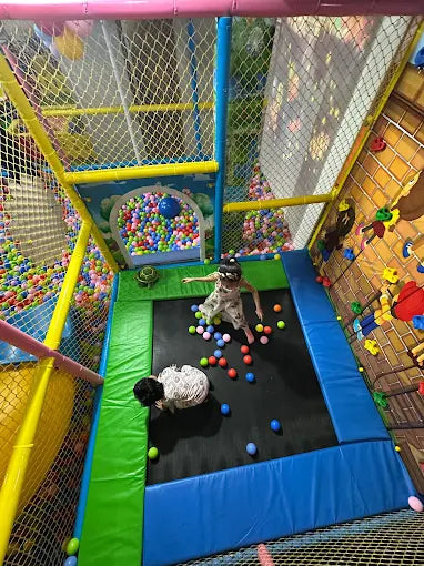 Fun2sh Indoor Play Area Sector 10 HBC Faridabad