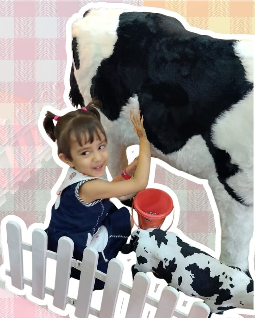 Kidzmaze Indoor Play Area | Sector 38 Rohini Delhi