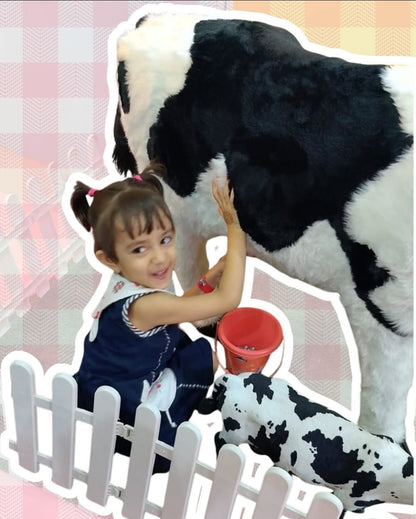 Kidzmaze Indoor Play Area | Sector 38 Rohini Delhi