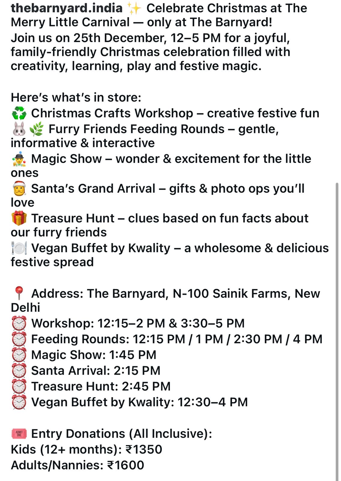 The Merry Little Carnival at The Barnyard (25 Dec) | Sainik Farm Delhi