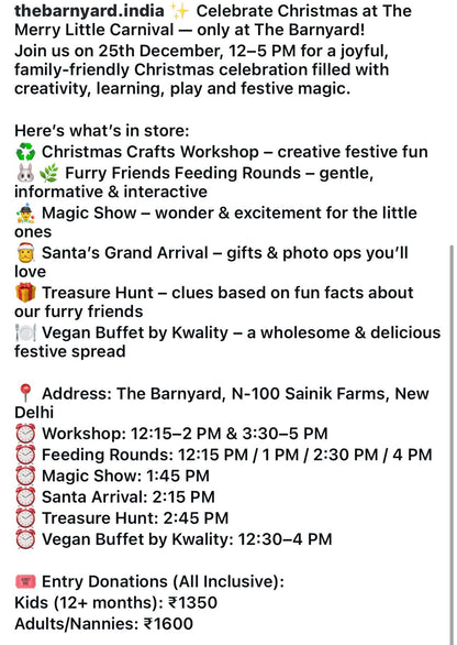 The Merry Little Carnival at The Barnyard (25 Dec) | Sainik Farm Delhi