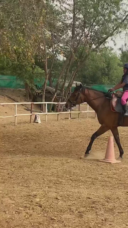 アダージョ乗馬厩舎 | 乗馬 | グルガオンのパスウェイズ スクールの近く