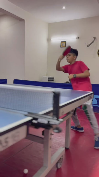 3D Table Tennis Academy | Near Swiss Cottage School Sector 23 Gurgaon