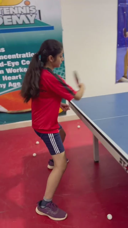 3D Table Tennis Academy | Near Swiss Cottage School Sector 23 Gurgaon