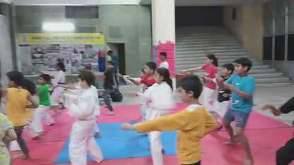 Gurugram Sports and Martial Arts Academy | Sukhrali Sector 17 Gurgaon