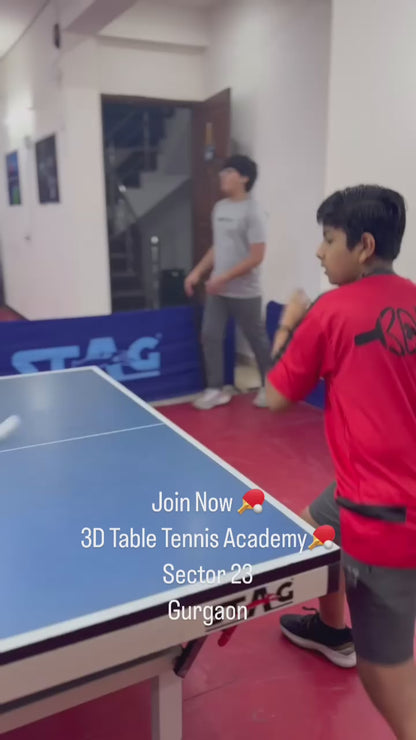 3D Table Tennis Academy | Near Swiss Cottage School Sector 23 Gurgaon