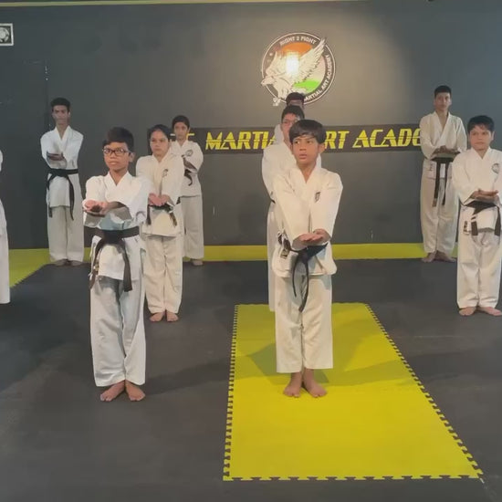 R2F Martial Arts Academy