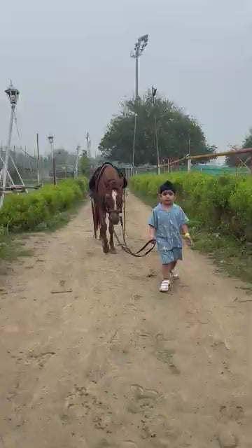 Duke Horse Riding Club | Sector 58 Gurgaon