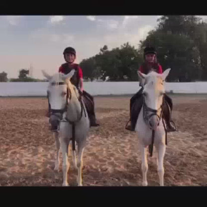 Janak Equestrian Club for Horse Riding | Dhumaspur Sector 67 Gurugram
