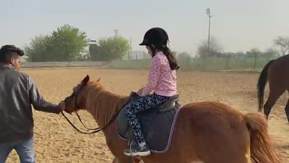 Duke Horse Riding Club | Sector 58 Gurgaon