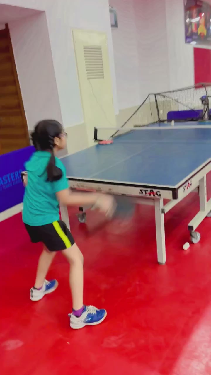 Masters Table Tennis Academy