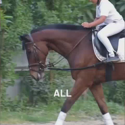 A young person in riding gear is horseback riding in an outdoor arena. The horse is brown, and the rider is wearing a helmet and white pants. The setting appears to be a stable or equestrian center with trees and fences in the background. The atmosphere seems focused and active, with the rider concentrating on the task.