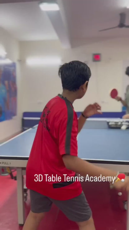 3D Table Tennis Academy | Near Swiss Cottage School Sector 23 Gurgaon