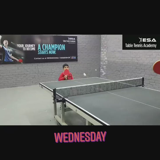 Excellence Table Tennis Academy