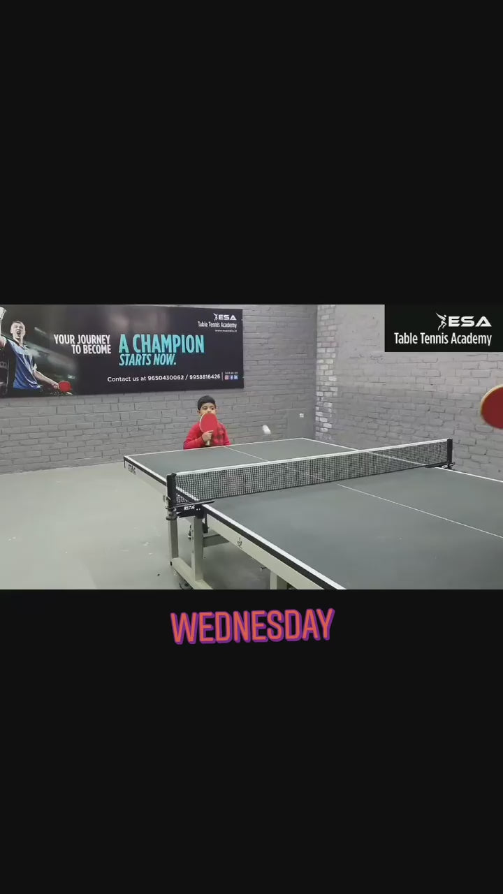 Excellence Table Tennis Academy