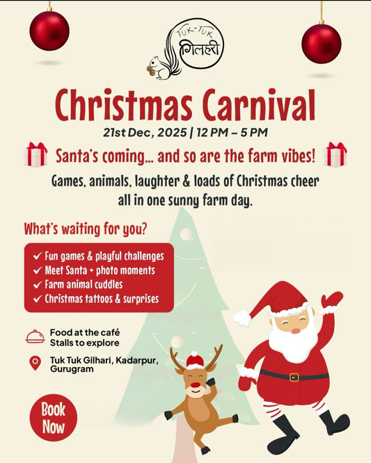 Christmas Carnival at Tuk Tuk Gilahri (21 Dec) Kadarpur Gurgaon