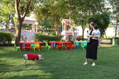 Halloween at Serengeti Petting Zoo (1-Nov) | Sector 67 Gurgaon