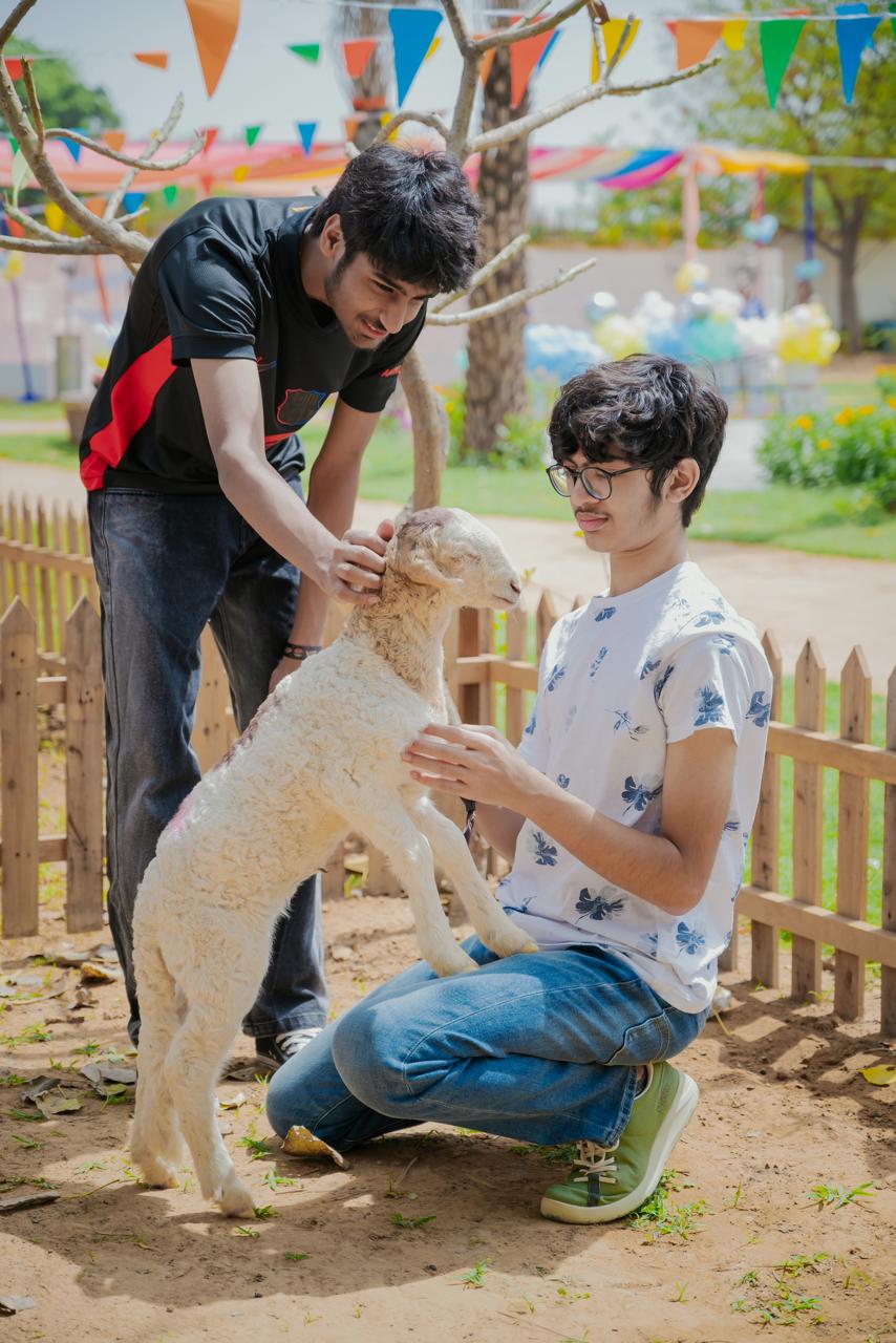 Halloween at Serengeti Petting Zoo (1-Nov) | Sector 67 Gurgaon