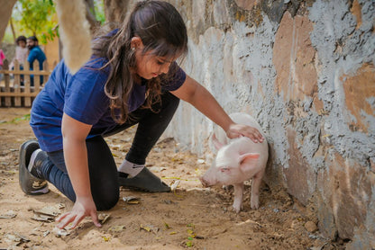 Halloween at Serengeti Petting Zoo (1-Nov) | Sector 67 Gurgaon