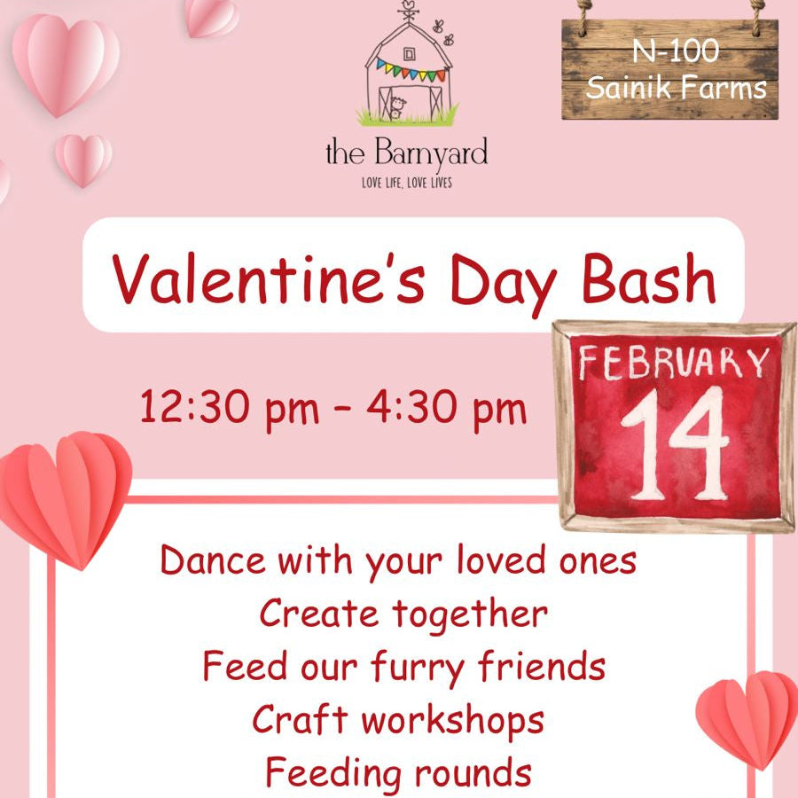 Valentine's Day Bash flyer with teddy bear, hearts, and event details on a pink background.