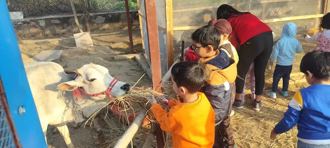 Zootopia - The Funyard Animal Petting Farm | Sector 58 Gurgaon