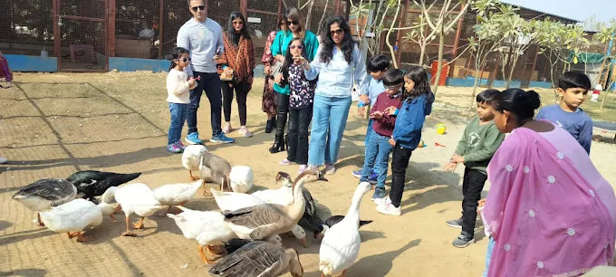 Zootopia - The Funyard Animal Petting Farm | Sector 58 Gurgaon