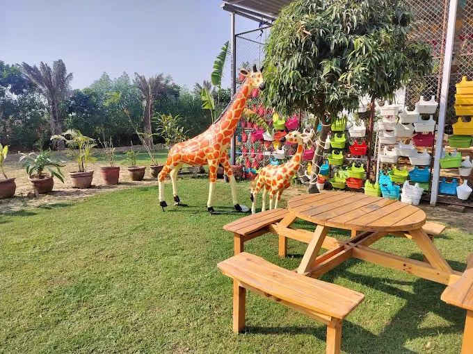 Zootopia - The Funyard Animal Petting Farm | Sector 58 Gurgaon